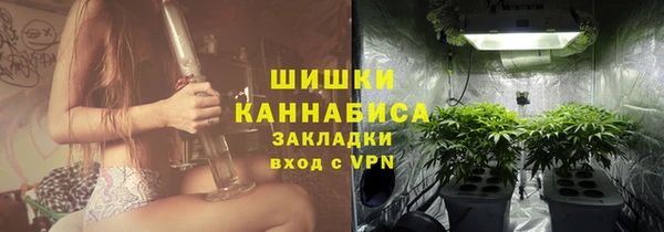 прущие грибы Липки