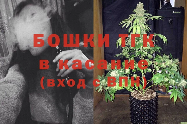 сатива Алексин